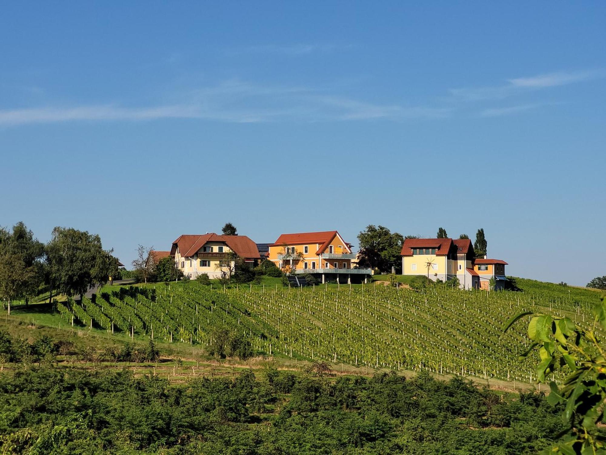 Bed and Breakfast Weinhof Reichmann Sankt Peter am Ottersbach Exterior foto